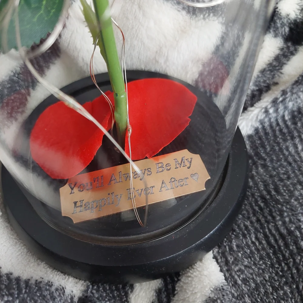 Enchanted Red‎ Rose in Glass Dome